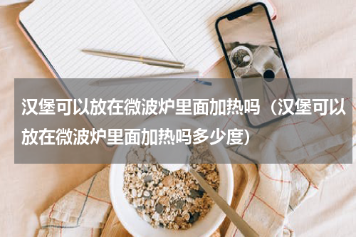 汉堡可以放在微波炉里面加热吗(汉堡可以放在微波炉里面加热吗多少度)