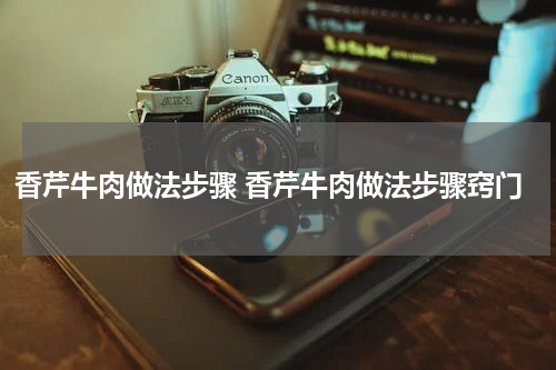 香芹牛肉做法步骤 香芹牛肉做法步骤窍门