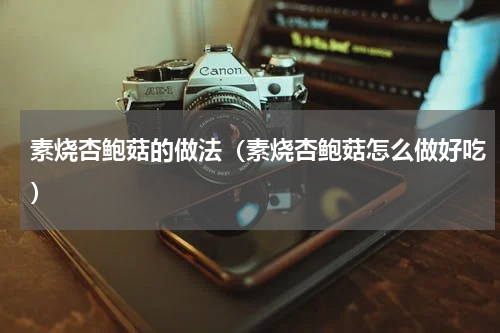 素烧杏鲍菇的做法（素烧杏鲍菇怎么做好吃）