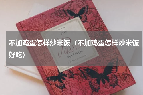 不加鸡蛋怎样炒米饭（不加鸡蛋怎样炒米饭好吃）