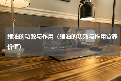 猪油的功效与作用(猪油的功效与作用营养价值)