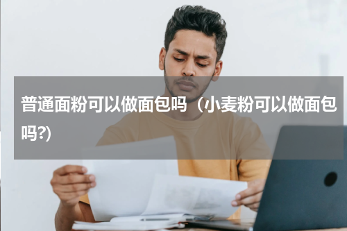 普通面粉可以做面包吗(小麦粉可以做面包吗?)