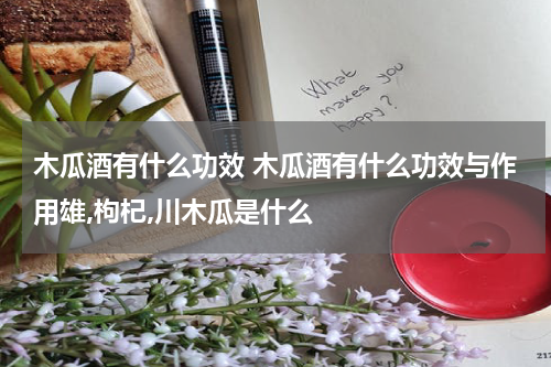 木瓜酒有什么功效 木瓜酒有什么功效与作用雄,枸杞,川木瓜是什么