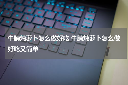 牛腩炖萝卜怎么做好吃 牛腩炖萝卜怎么做好吃又简单