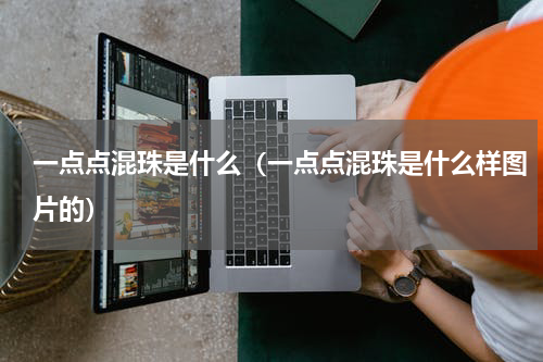 一点点混珠是什么（一点点混珠是什么样图片的）