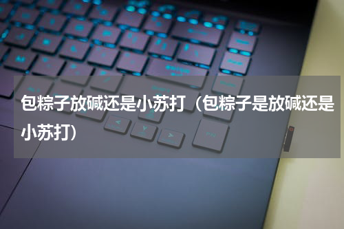 包粽子放碱还是小苏打（包粽子是放碱还是小苏打）