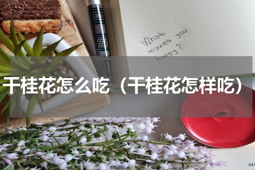干桂花怎么吃（干桂花怎样吃）