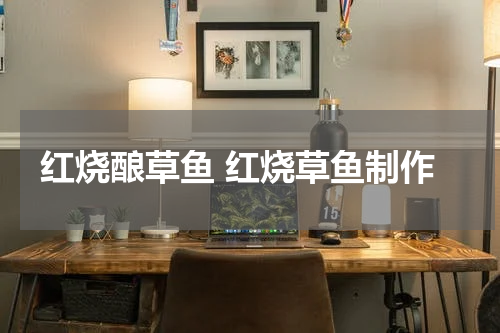 红烧酿草鱼 红烧草鱼制作