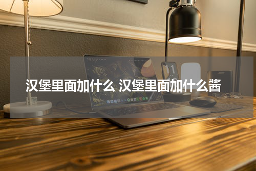 汉堡里面加什么 汉堡里面加什么酱