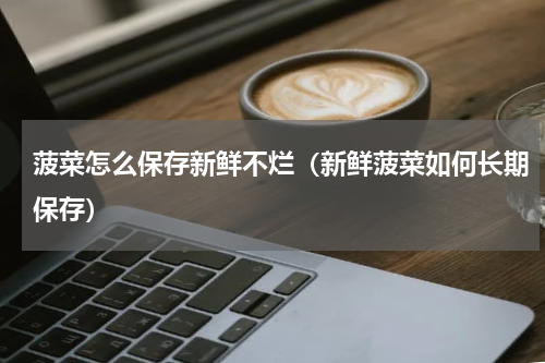 菠菜怎么保存新鲜不烂（新鲜菠菜如何长期保存）