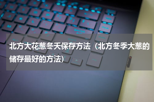 北方大花葱冬天保存方法（北方冬季大葱的储存最好的方法）