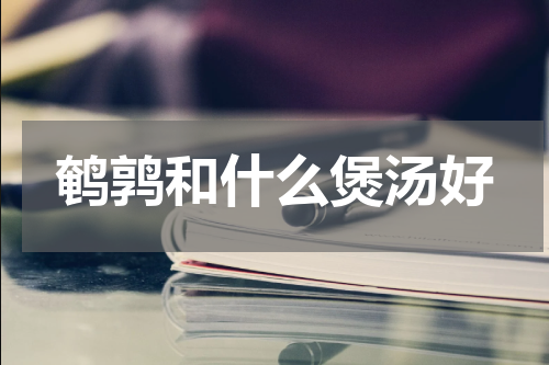 鹌鹑和什么煲汤好