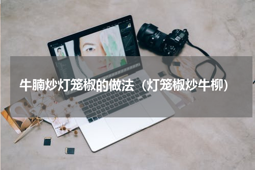 牛腩炒灯笼椒的做法（灯笼椒炒牛柳）