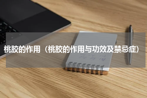 桃胶的作用（桃胶的作用与功效及禁忌症）