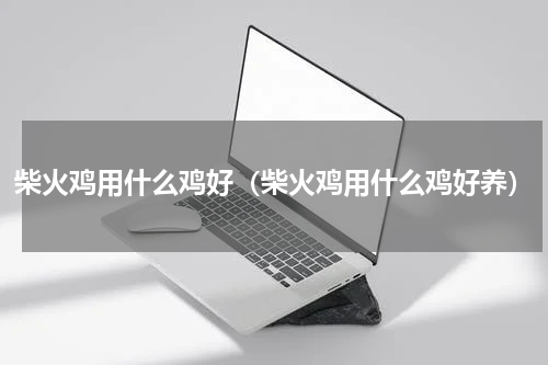 柴火鸡用什么鸡好（柴火鸡用什么鸡好养）