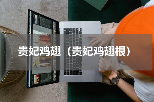 贵妃鸡翅（贵妃鸡翅根）