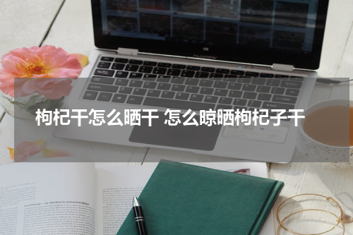 枸杞干怎么晒干 怎么晾晒枸杞子干