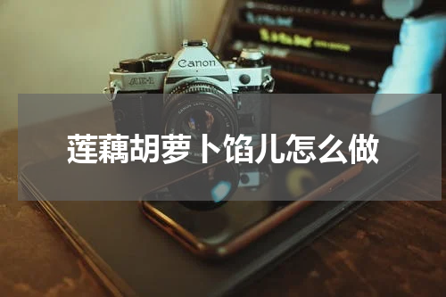 莲藕胡萝卜馅儿怎么做