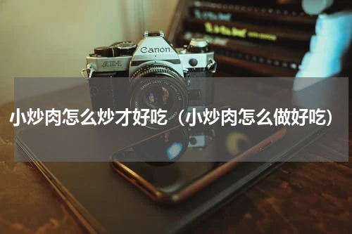 小炒肉怎么炒才好吃（小炒肉怎么做好吃）
