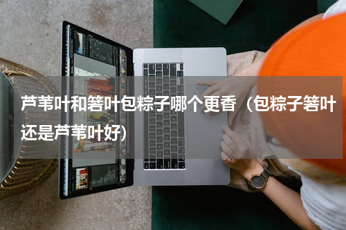 芦苇叶和箬叶包粽子哪个更香（包粽子箬叶还是芦苇叶好）