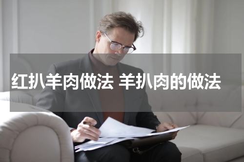 红扒羊肉做法 羊扒肉的做法