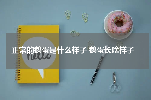 正常的鹅蛋是什么样子 鹅蛋长啥样子