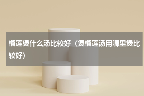 榴莲煲什么汤比较好（煲榴莲汤用哪里煲比较好）