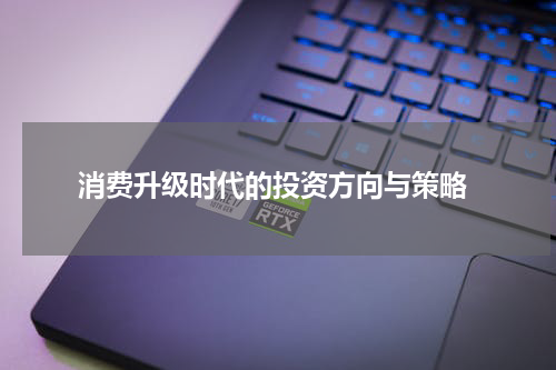 消费升级时代的投资方向与策略