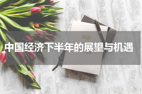  中国经济下半年的展望与机遇