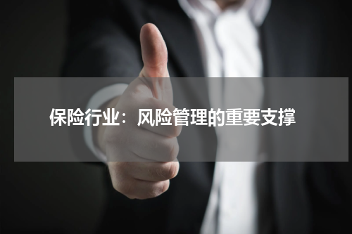  保险行业：风险管理的重要支撑