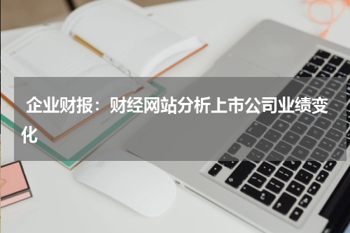  企业财报：财经网站分析上市公司业绩变化