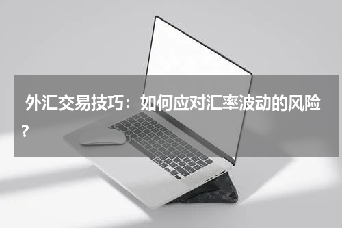 外汇交易技巧:如何应对汇率波动的风险?