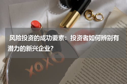  风险投资的成功要素：投资者如何辨别有潜力的新兴企业？