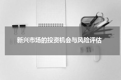  新兴市场的投资机会与风险评估