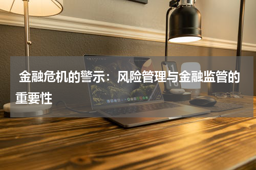  金融危机的警示：风险管理与金融监管的重要性