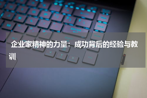 企业家精神的力量:成功背后的经验与教训