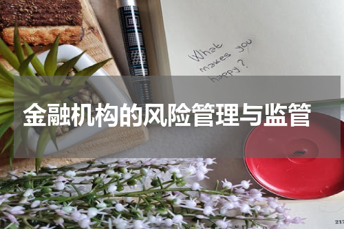 金融机构的风险管理与监管