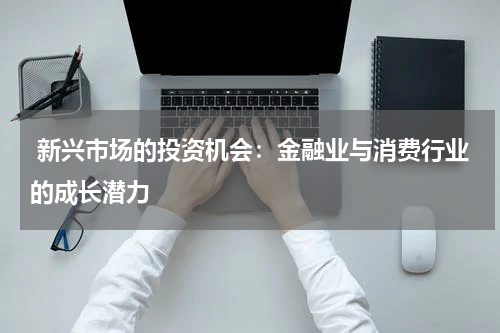  新兴市场的投资机会：金融业与消费行业的成长潜力