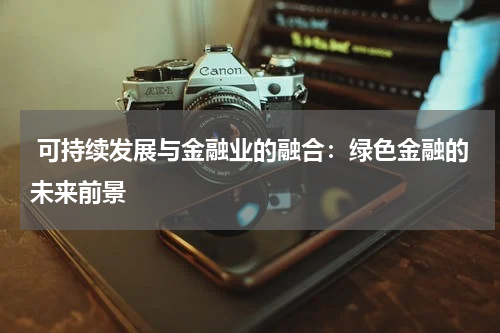  可持续发展与金融业的融合：绿色金融的未来前景