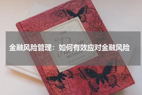  金融风险管理：如何有效应对金融风险