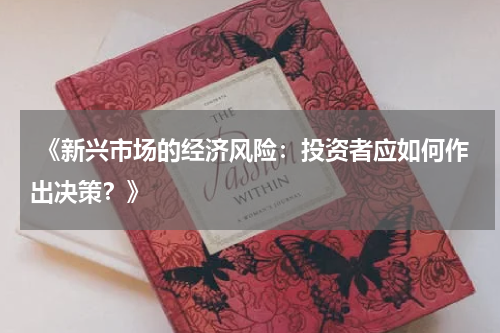  《新兴市场的经济风险：投资者应如何作出决策？》