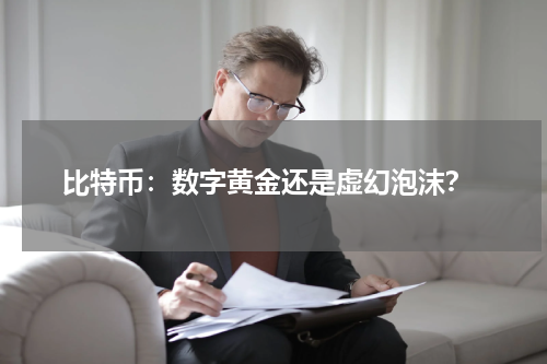  比特币：数字黄金还是虚幻泡沫？