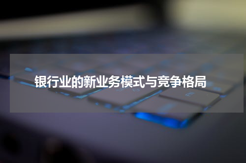  银行业的新业务模式与竞争格局