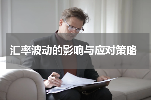  汇率波动的影响与应对策略