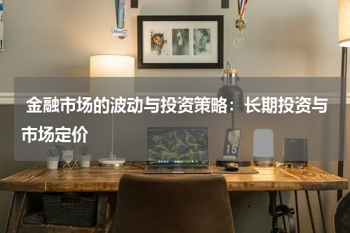  金融市场的波动与投资策略：长期投资与市场定价