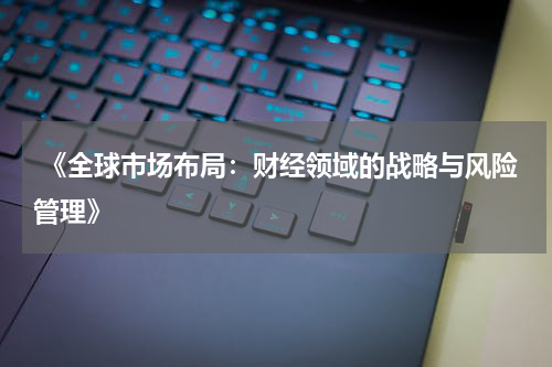  《全球市场布局：财经领域的战略与风险管理》