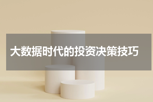  大数据时代的投资决策技巧