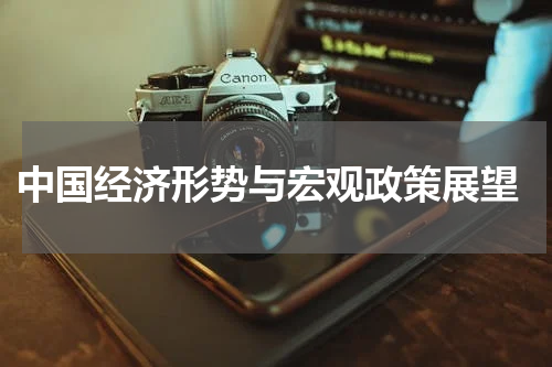  中国经济形势与宏观政策展望