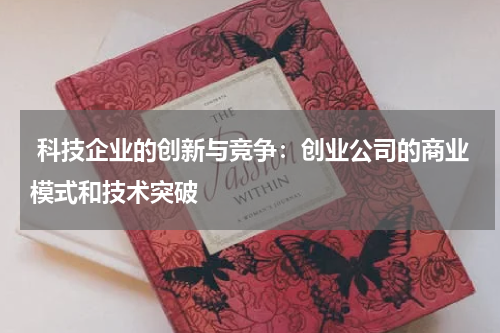  科技企业的创新与竞争：创业公司的商业模式和技术突破