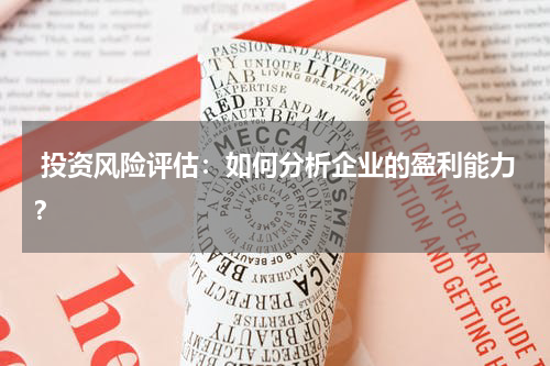 投资风险评估:如何分析企业的盈利能力?